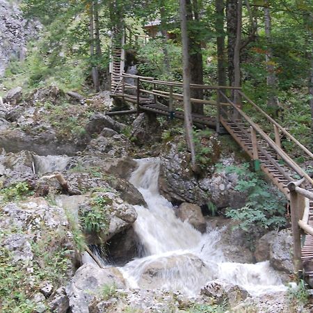 Apartments Am Kirchkogel "Laendliche Entspannung Im Herzen Der Steiermark" Pernegg an der Mur Exterior foto