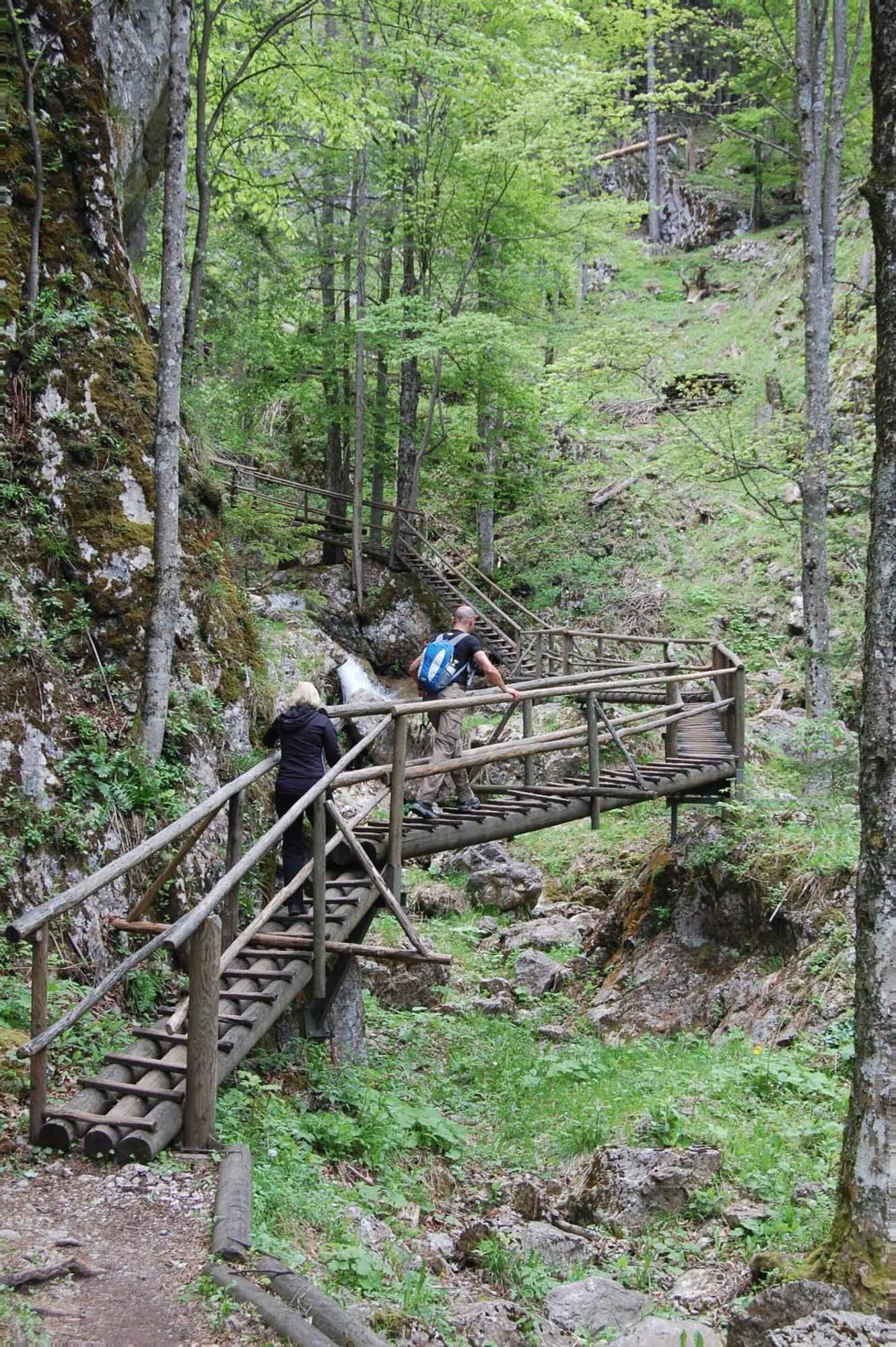 Apartments Am Kirchkogel "Laendliche Entspannung Im Herzen Der Steiermark" Pernegg an der Mur Habitación foto